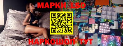 a pvp Камышлов