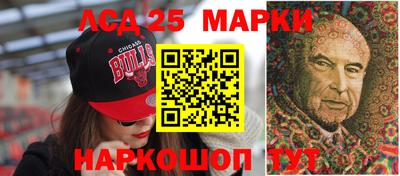 a pvp Камышлов