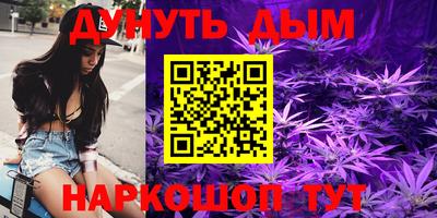 a pvp Камышлов