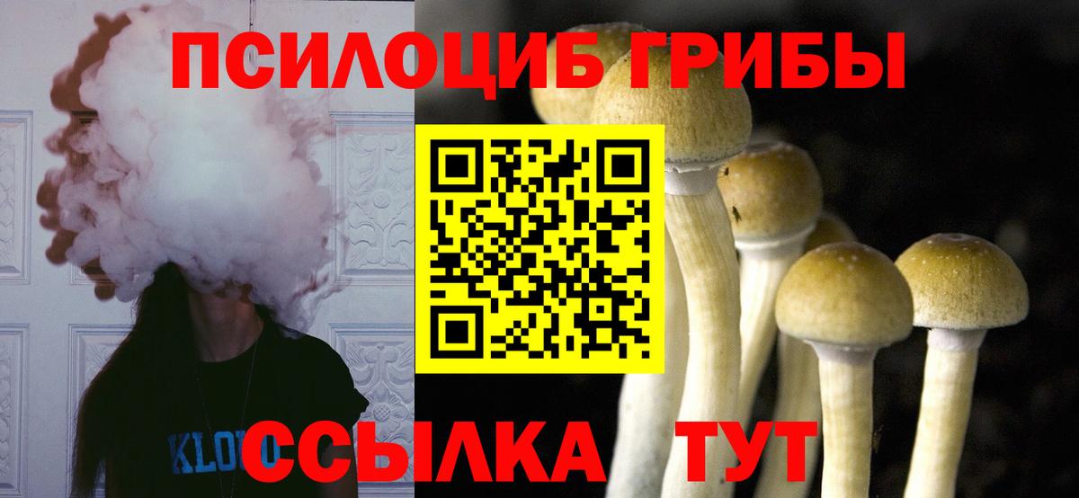 Галлюциногенные грибы MAGIC MUSHROOMS Кудрово
